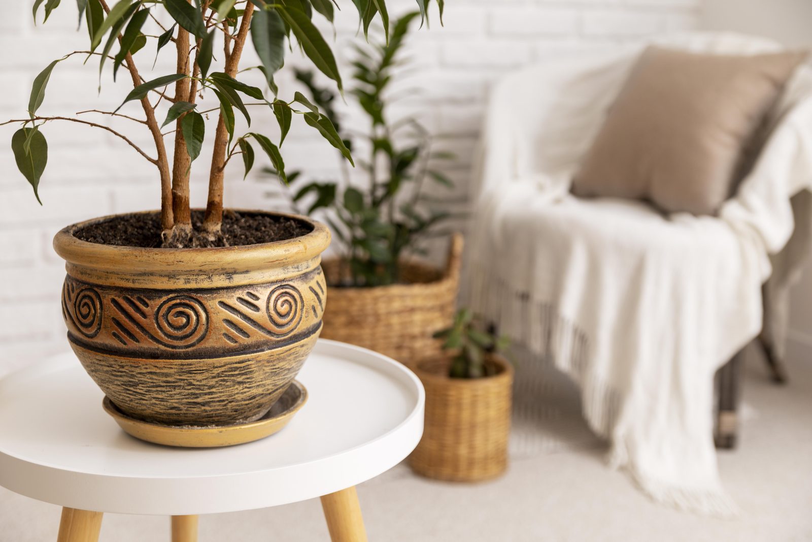 Styled interior by Alvis Home Decor